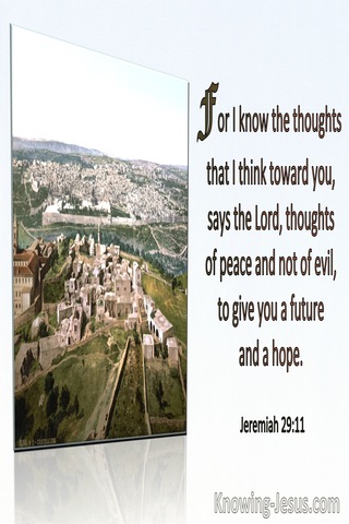 Jeremiah 29:11 For I Know The Thoughts I Have Towards You Thoughts Of Peace and not Evil (green)